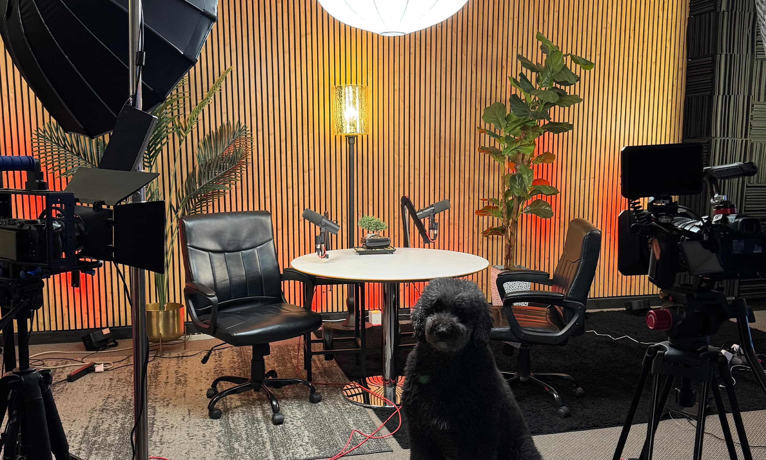 CQM Studio main recording set