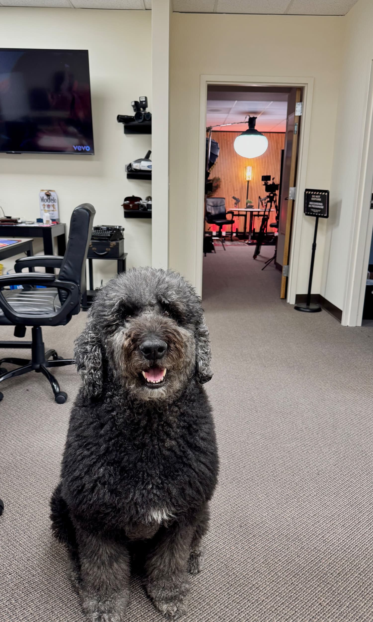 Our studio mascot welcoming you